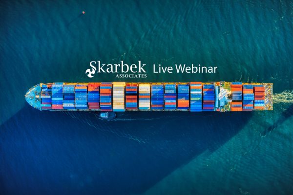 Developing a Supply Chain Strategy fit for the Future image