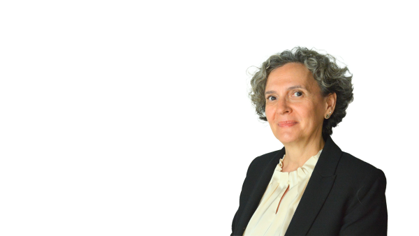 Ioana Stevin image